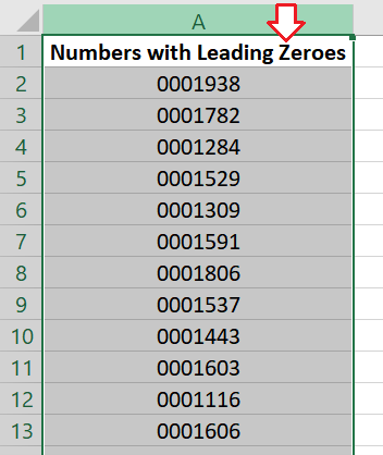 Select the entire column with leading zeroes.