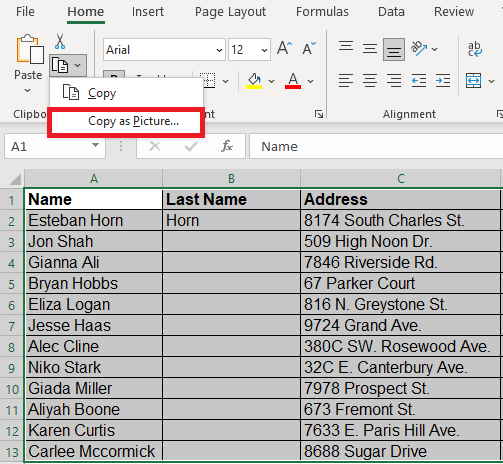 Image showing the Copy As Picture option in Excel.