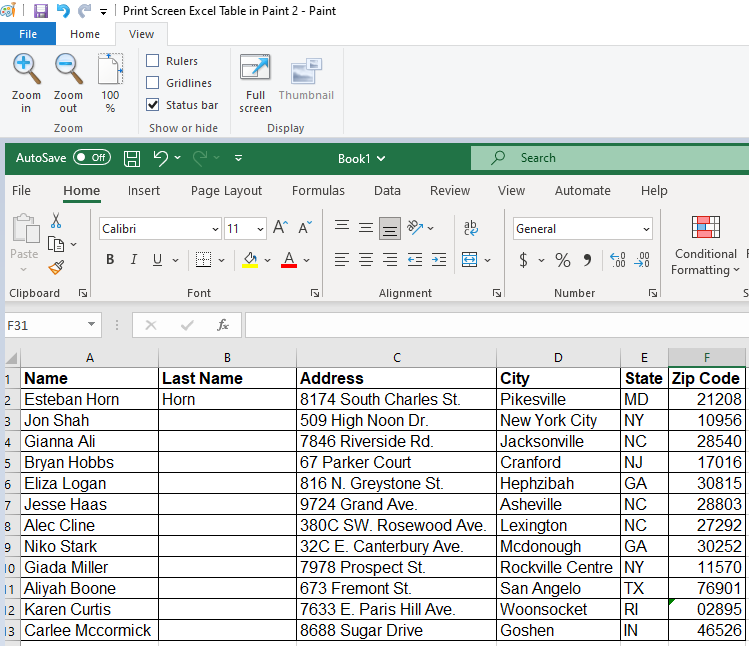 Image showing Excel table pasted into Paint after  Print Screen shortcut.