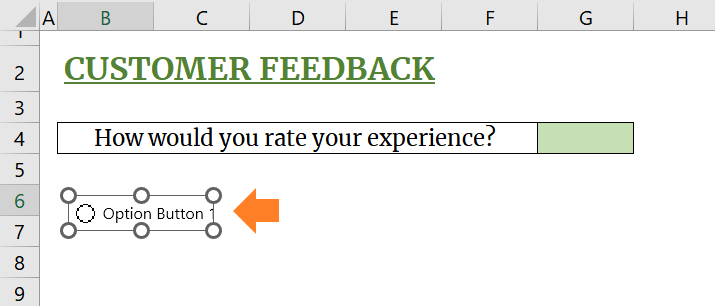 Sample output after inserting the radio button. 