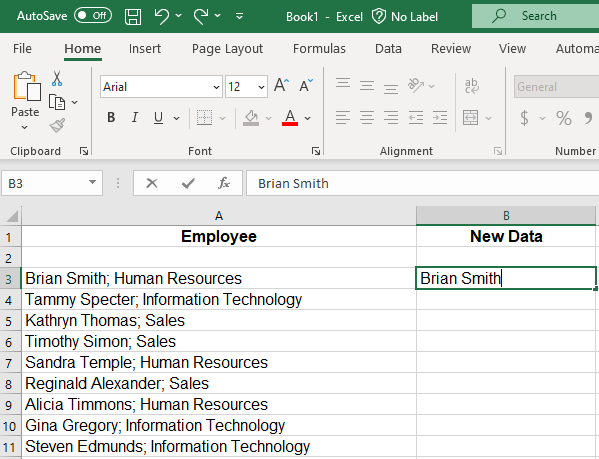 Image showing the beginning process of using Flash Fill in Excel.